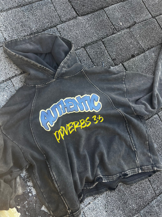 A washed black cropped oversized hoodie with a graphic reading 'AUTHENTIC DIVERBS 3.0' in blue and yellow, laid flat on gray asphalt.
